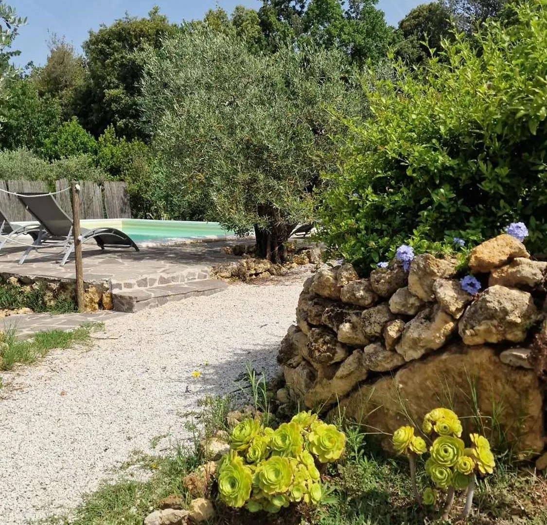 Il Panorama Apartment Montescudaio